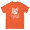 Correcting Your Grammar Cat T-Shirt