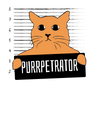 PURRpetrator Cat Mug Shot T-Shirt