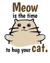 Meow is the Time to Hug Cat T-Shirt