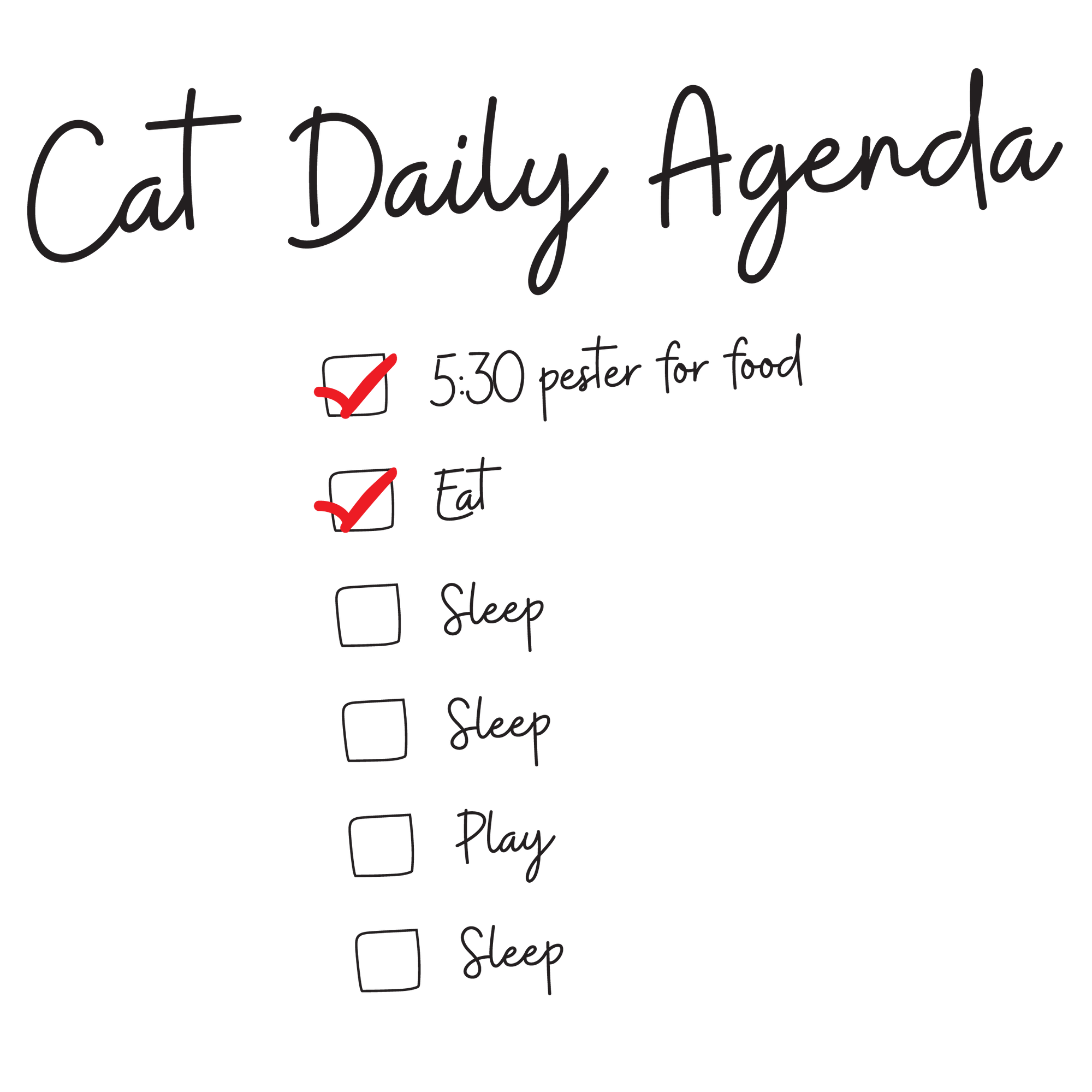 Daily Cat Agenda T-Shirt