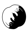 Yin Yang Cat T-Shirt