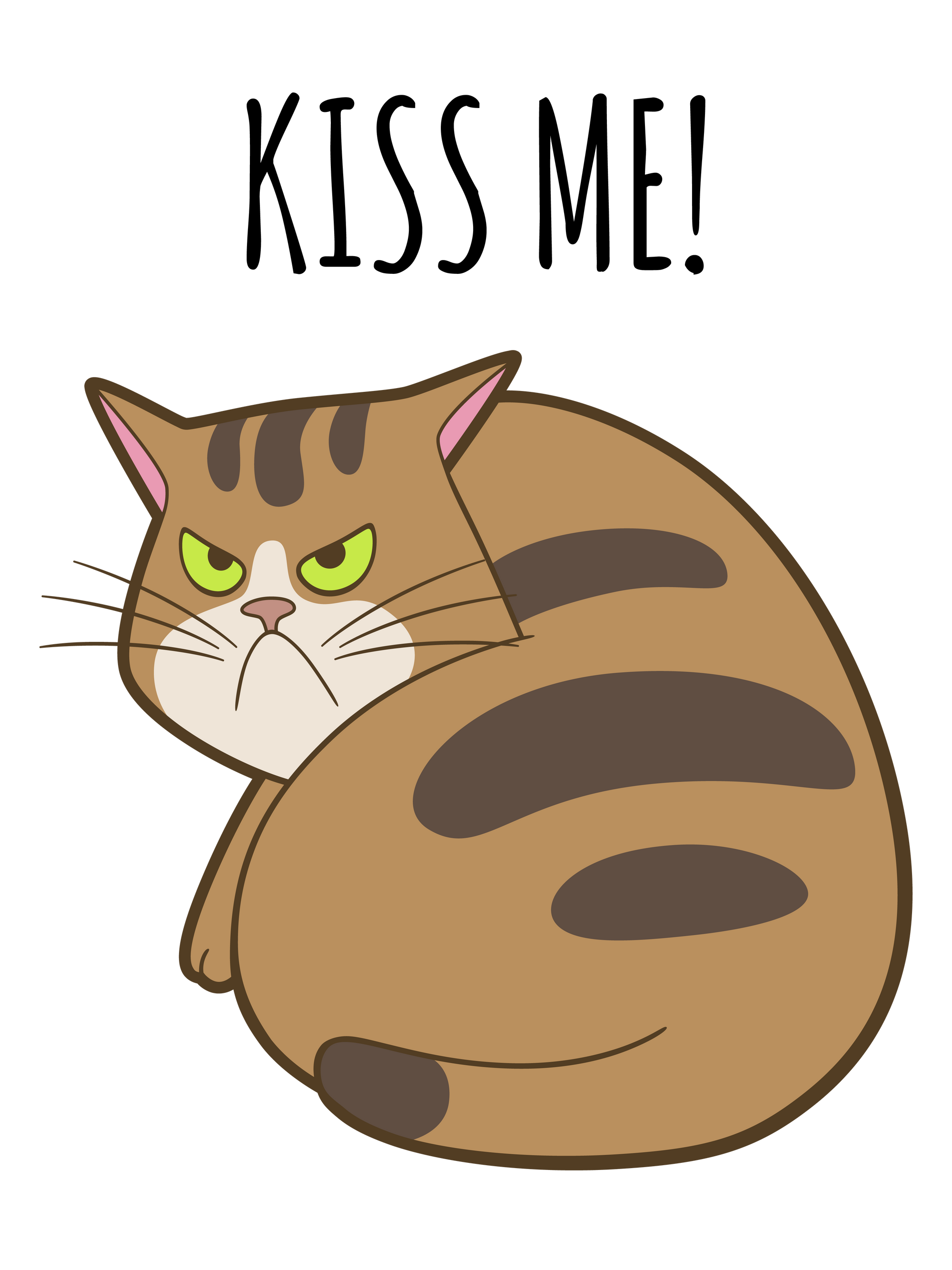 Kiss Me Pissy Cat T-Shirt