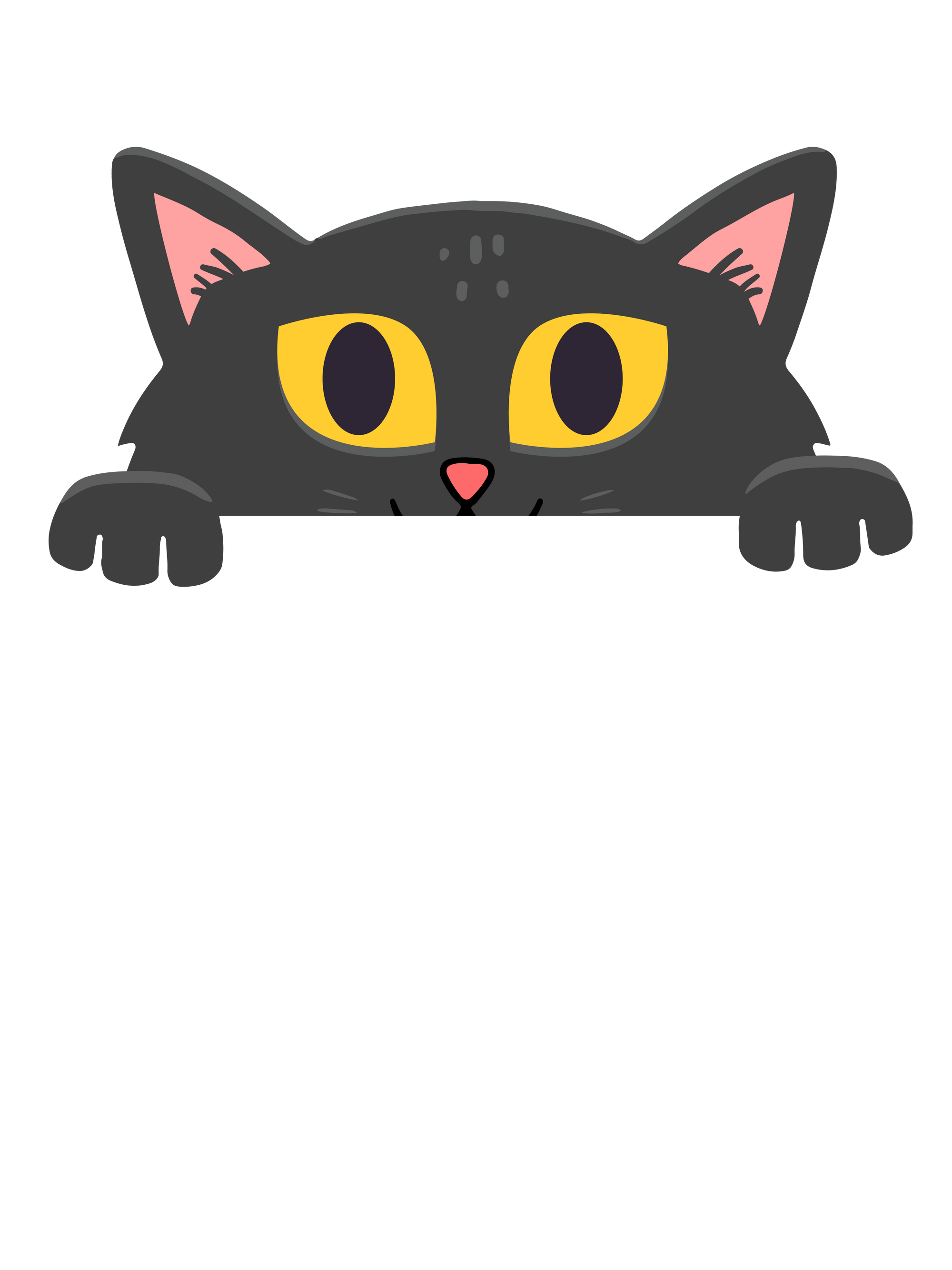 Peek a Boo Cat T-Shirt