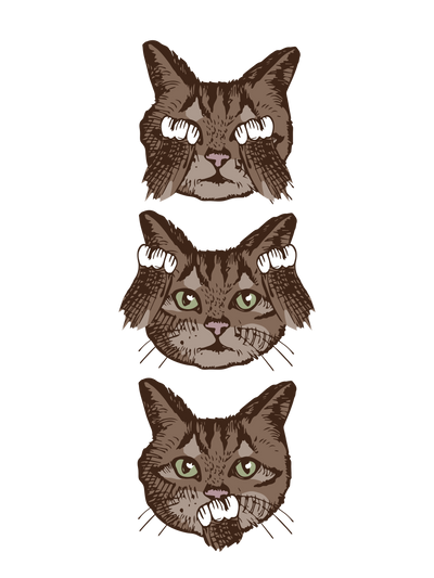 No Evil Cat T-Shirt
