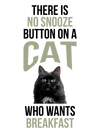 No Sleeping In Cat T-Shirt