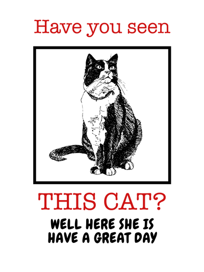 Have You Seen This Cat T-Shirt