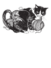 Cat and Yarn T-Shirt