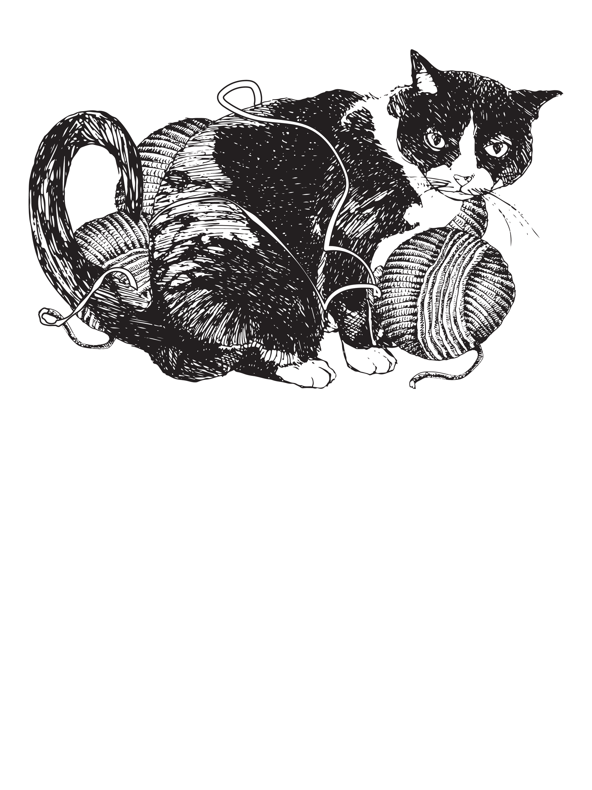 Cat and Yarn T-Shirt