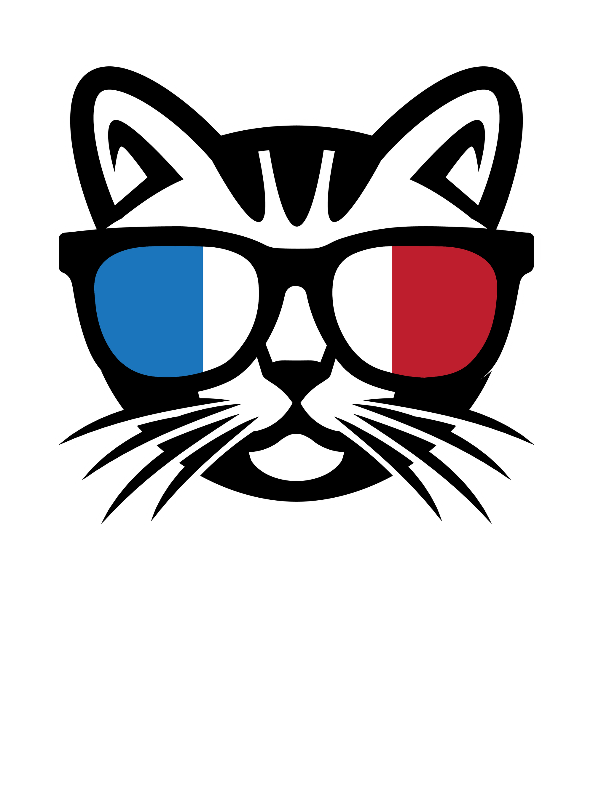 France Cat T-Shirt