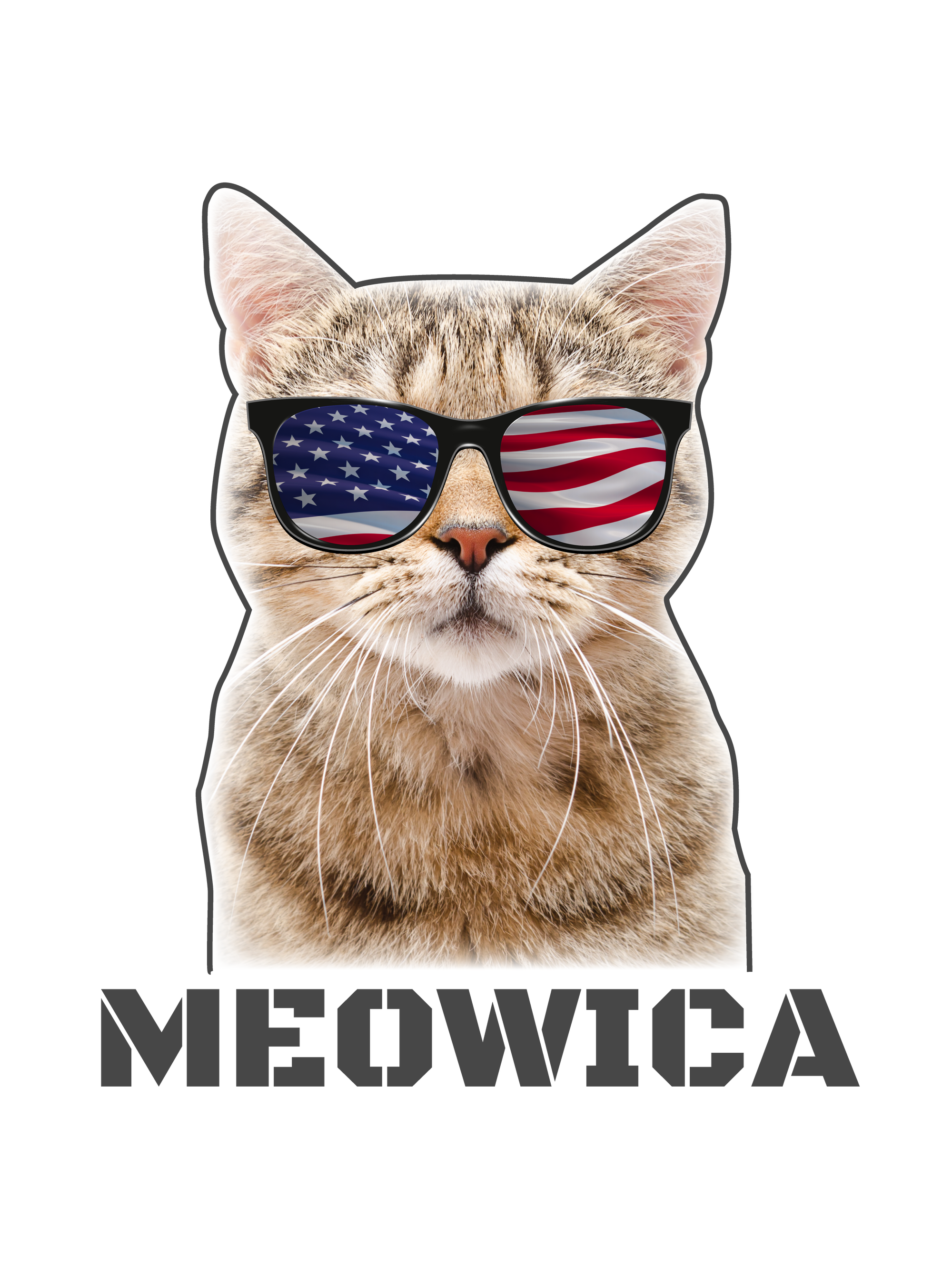 Meowica (America) Patriot Cat T-Shirt