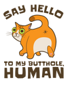 Hello Cat Butthole T-Shirt