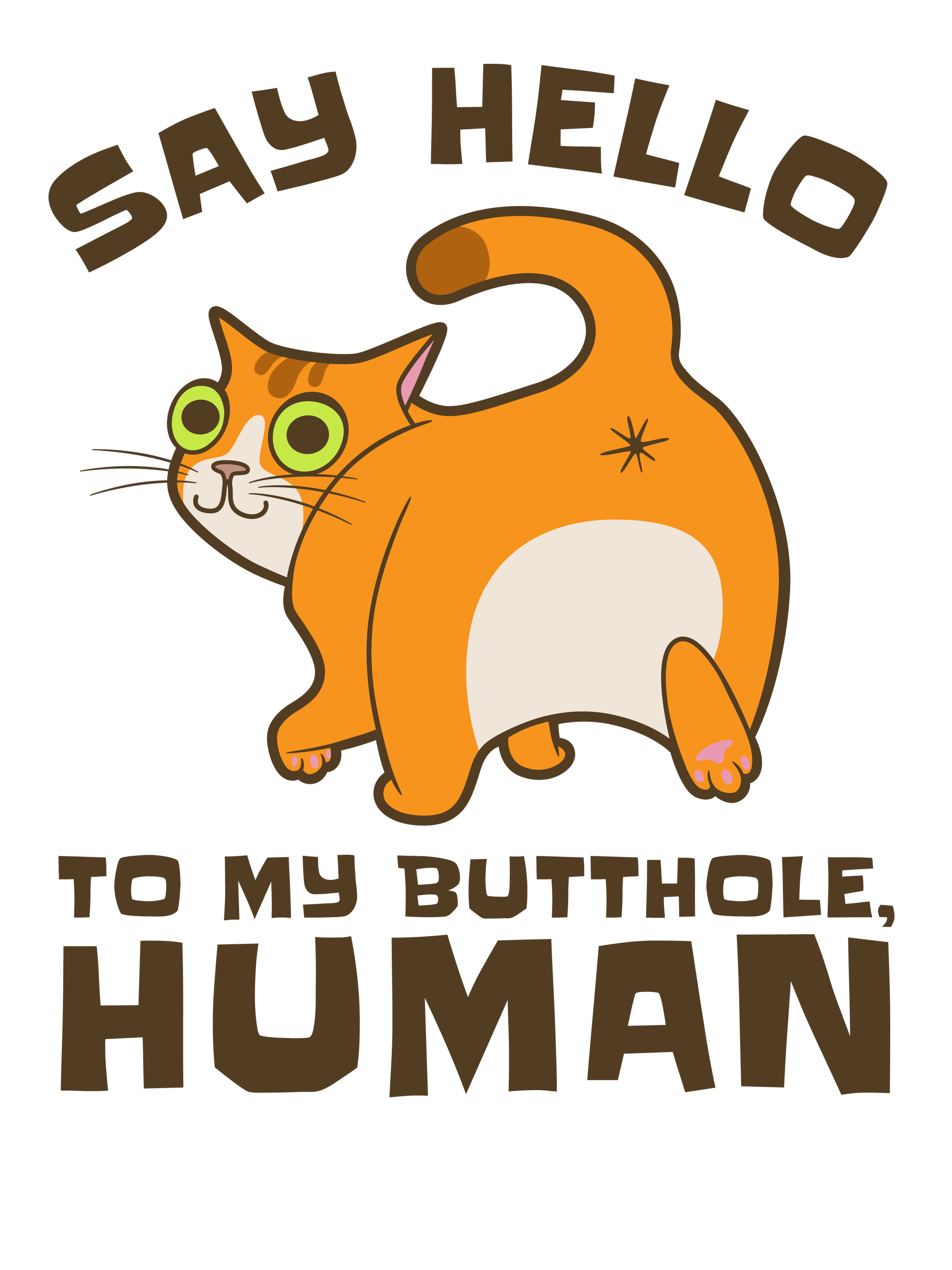 Hello Cat Butthole T-Shirt
