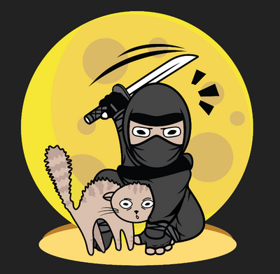 Ninja Defending Cat T-Shirt