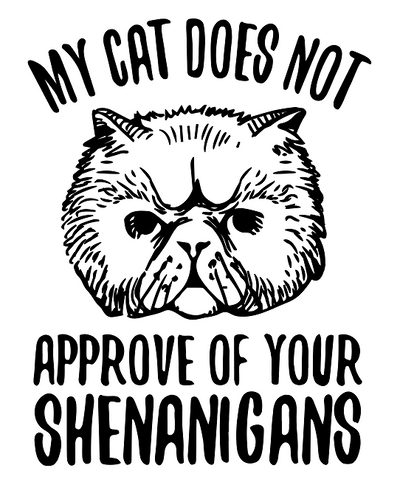 Cat Doesn't Approve Shenanigans T-Shirt