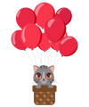 Balloon Ride Cat T-Shirt