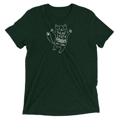 Got a Lot of Felines For You T-Shirt